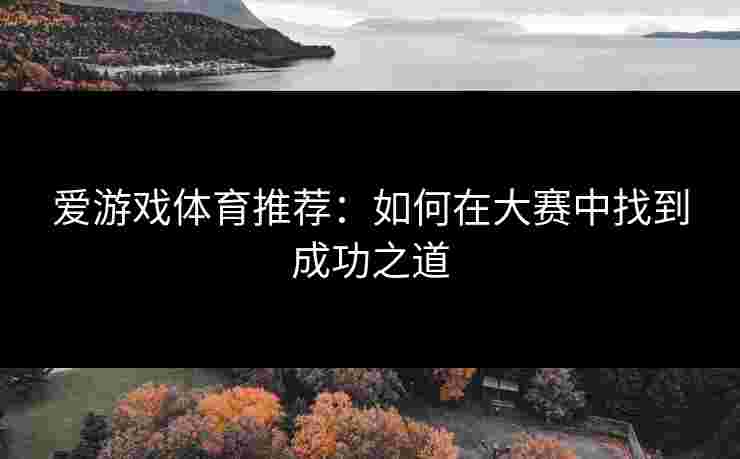 爱游戏体育推荐：如何在大赛中找到成功之道