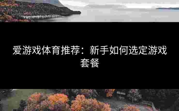 爱游戏体育推荐：新手如何选定游戏套餐