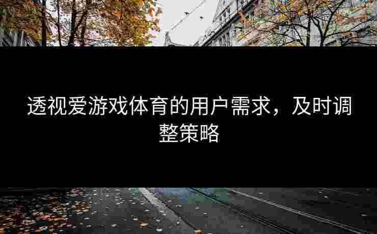 透视爱游戏体育的用户需求，及时调整策略