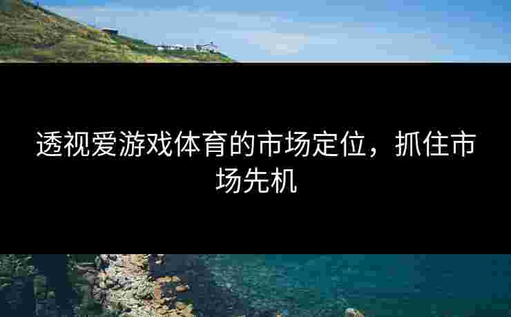 透视爱游戏体育的市场定位，抓住市场先机